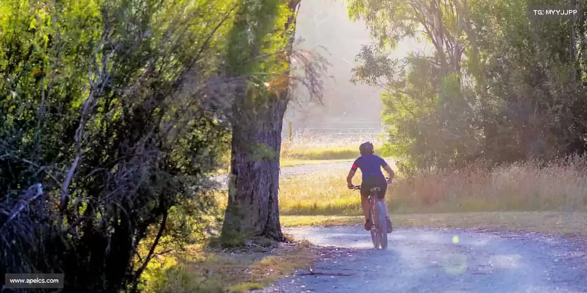 3499拉斯维加斯官网入口无论是晨跑还是夜骑，风都是最好的伙伴！🌪️